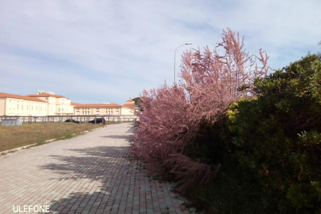 Casa Nel Parco Sulla Spiaggia ピサ エクステリア 写真